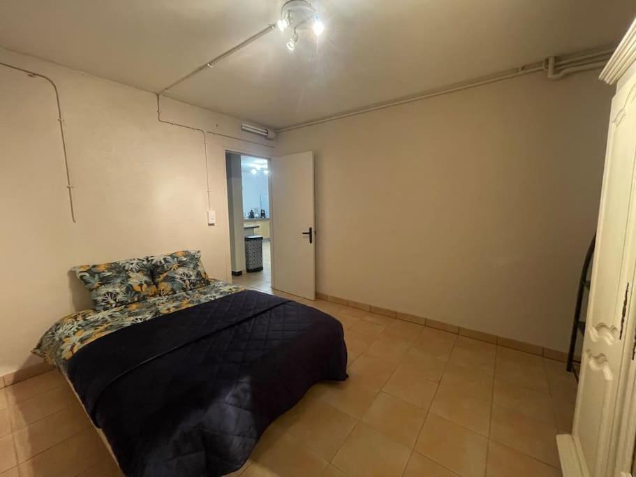 Appartement Independant En Rdc Chez Habitant Lannemezan Exterior photo